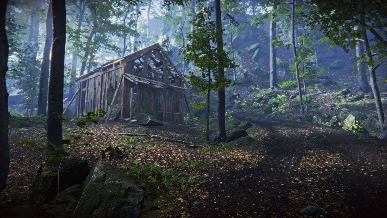 Undergrowth with a wooden cabin in the fog
